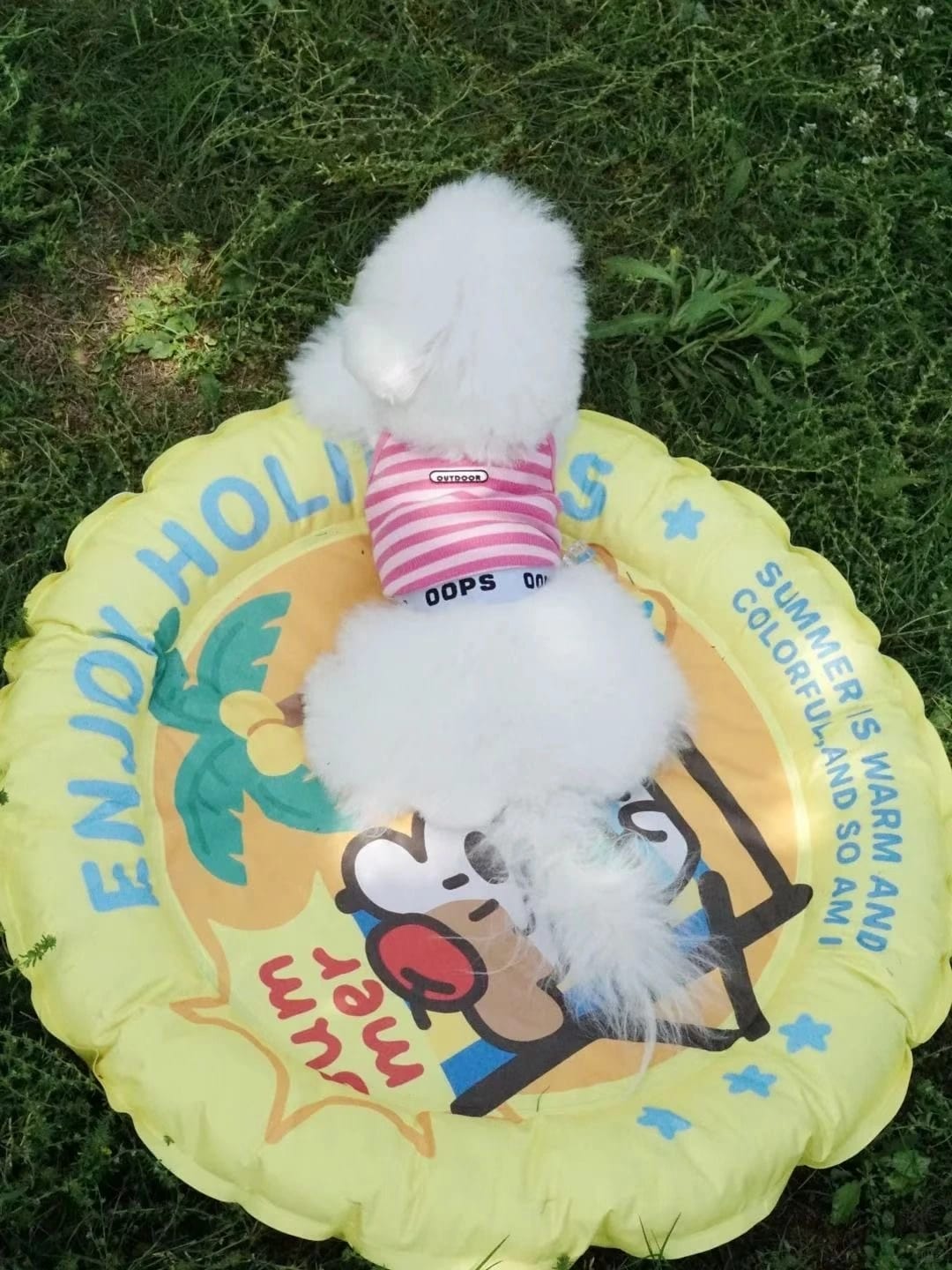 Pet Apparel Collection
