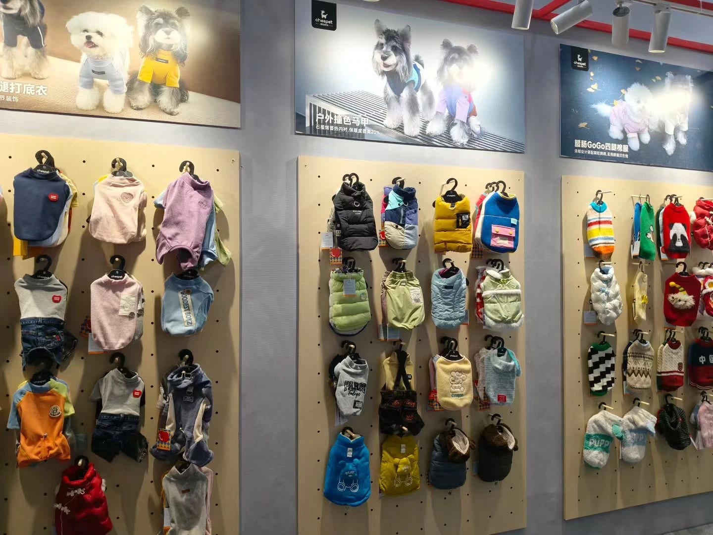 Pet Outdoor Wear & Walking Accessories
