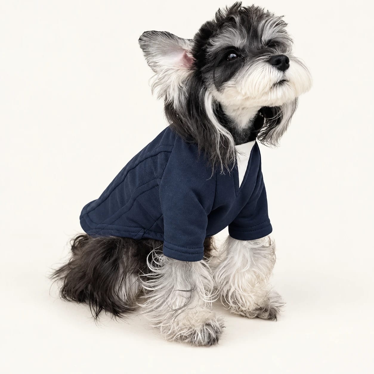 Tailored Pet Jacket